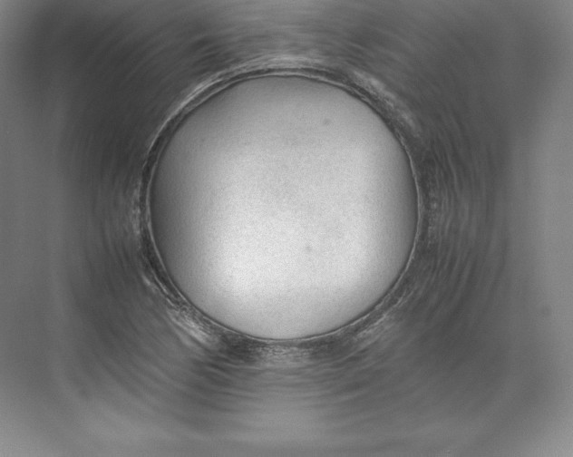 X0000074931170200609221631