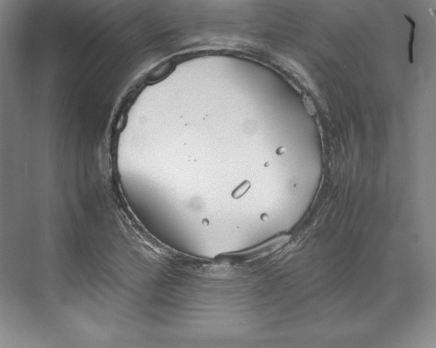 X0000074931172200609221631