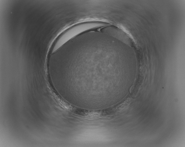 X0000074931173200609221631