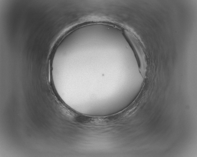 X0000074931175200609221631