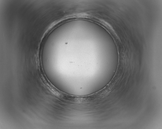 X0000074931176200609221631