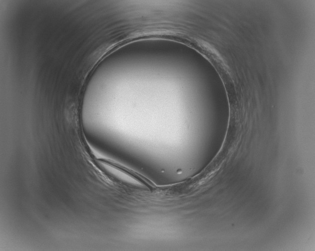 X0000074931177200609221631