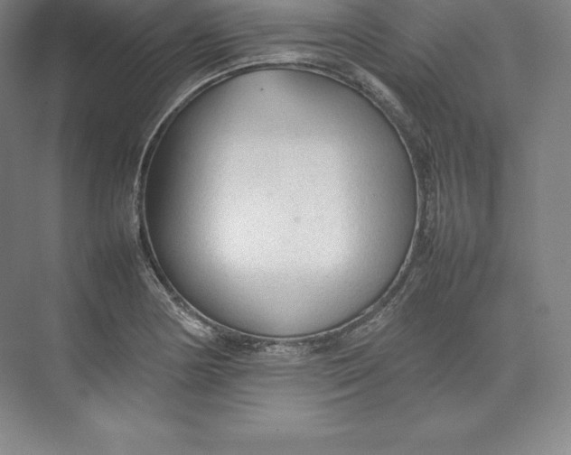 X0000074931178200609221631