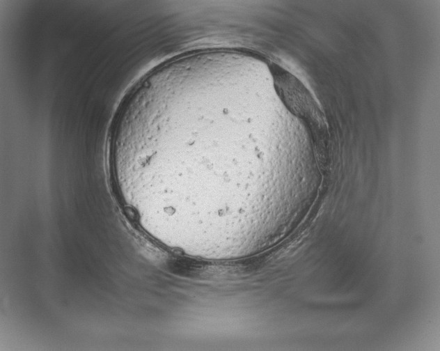 X0000074931179200609221631