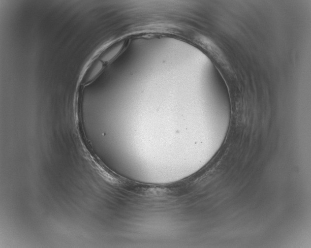 X0000074931180200609221631