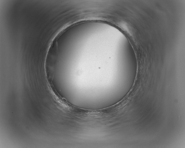 X0000074931181200609221631