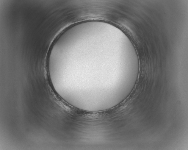 X0000074931182200609221631