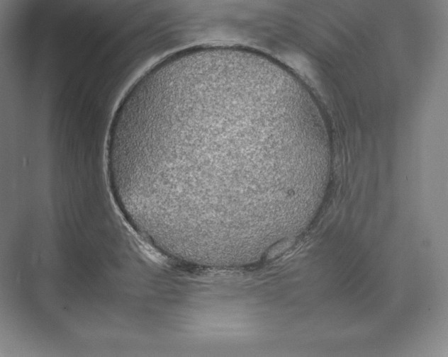 X0000074931183200609221631