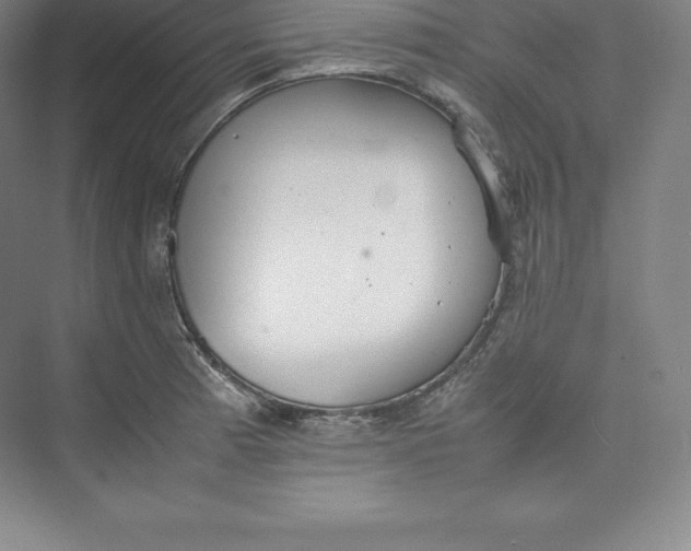 X0000074931185200609221631