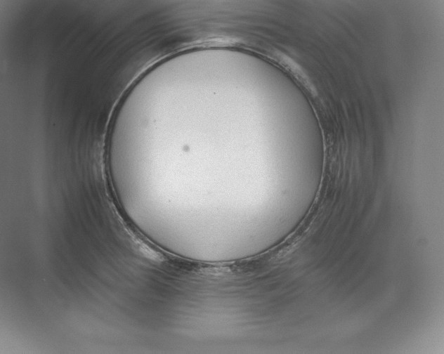 X0000074931186200609221631