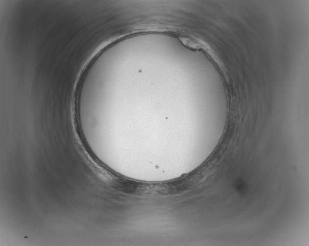 X0000074931187200609221631