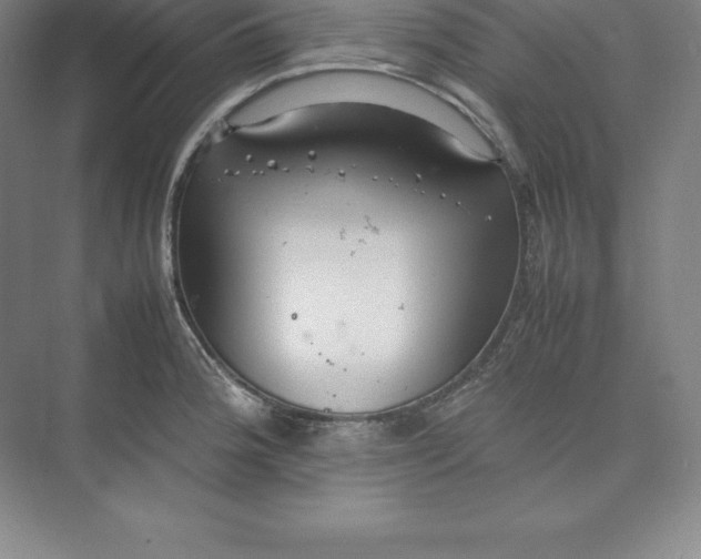 X0000074931188200609221631