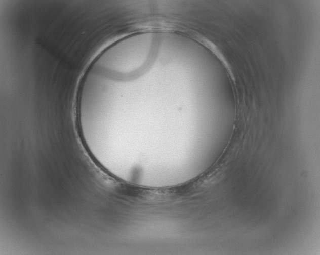 X0000074931195200609221631