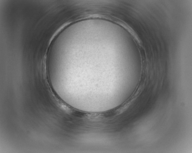 X0000074931198200609221631