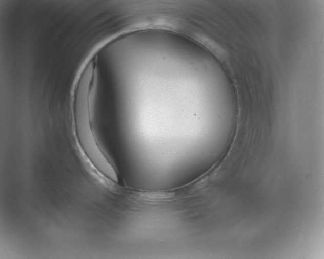 X0000074931200200609221631