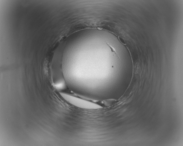 X0000074931202200609221630