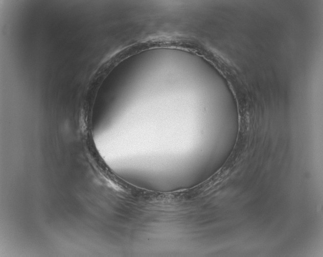 X0000074931206200609221630