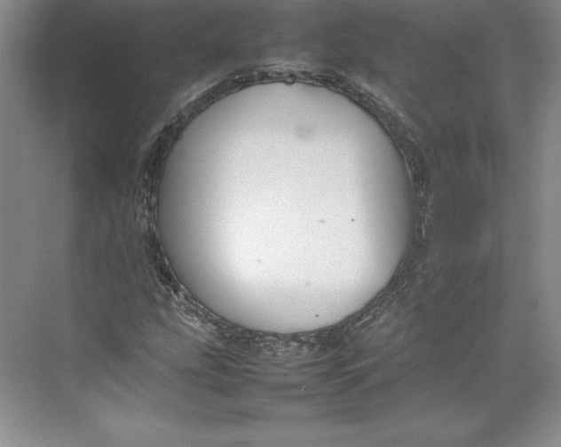 X0000074931207200609221630