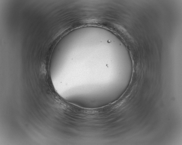 X0000074931209200609221630