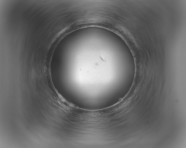 X0000074931210200609221630