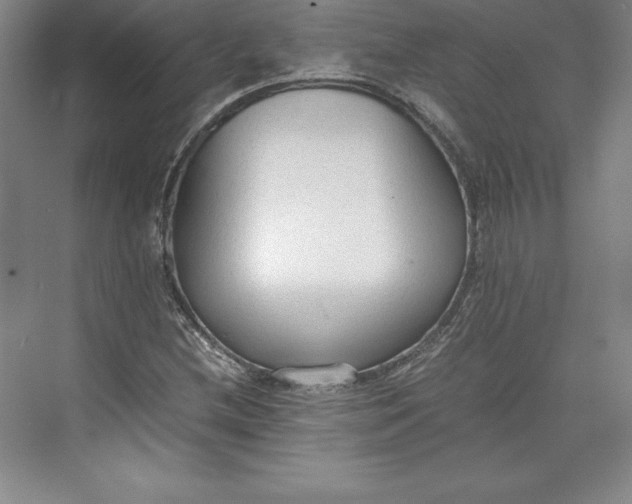 X0000074931212200609221630