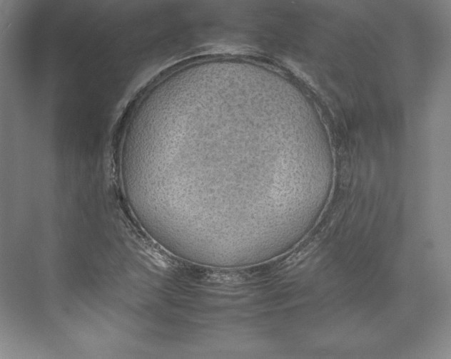 X0000074931215200609221630