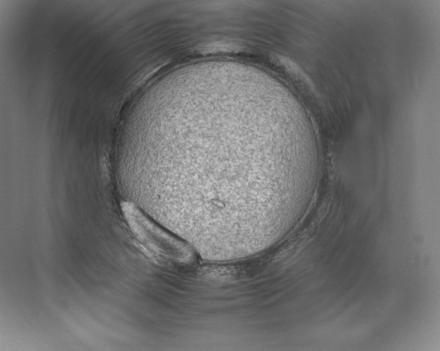 X0000074931217200609221630