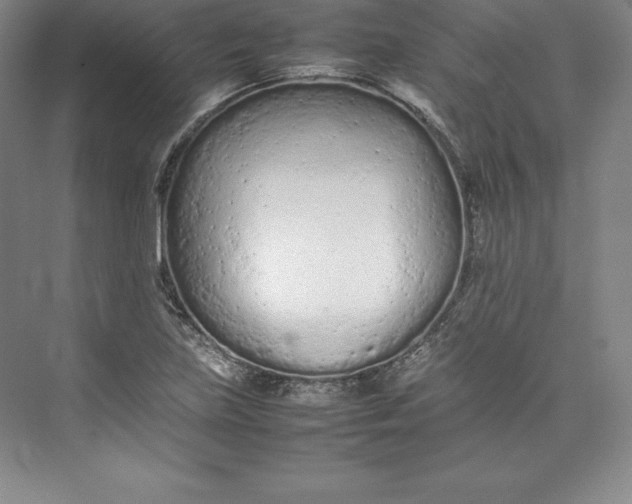 X0000074931219200609221630