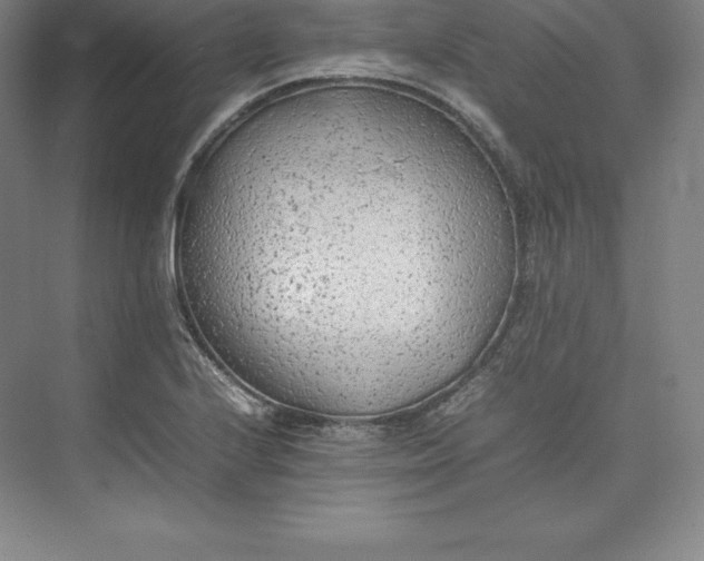 X0000074931224200609221630