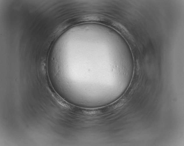 X0000074931225200609221630