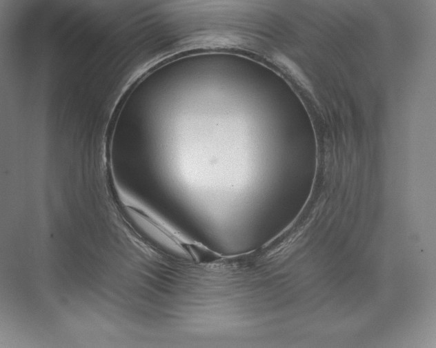 X0000074931226200609221630