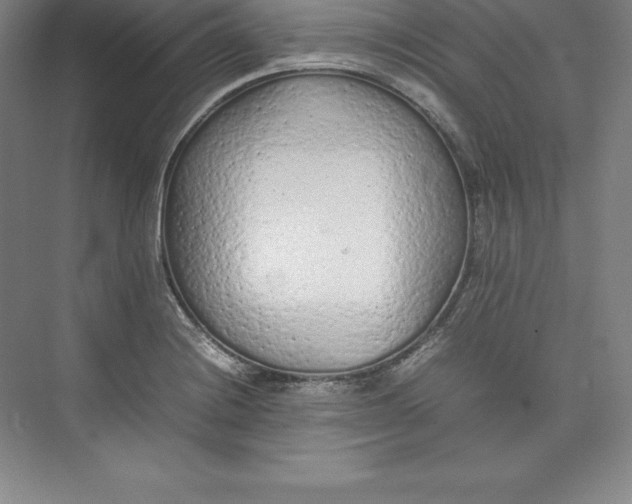 X0000074931228200609221630