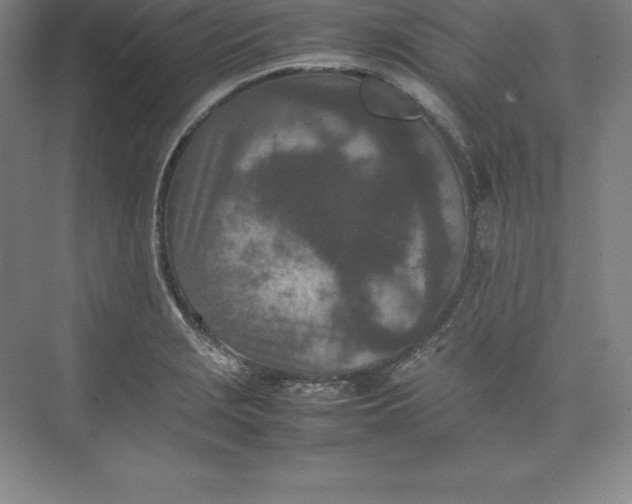 X0000074931229200609221630