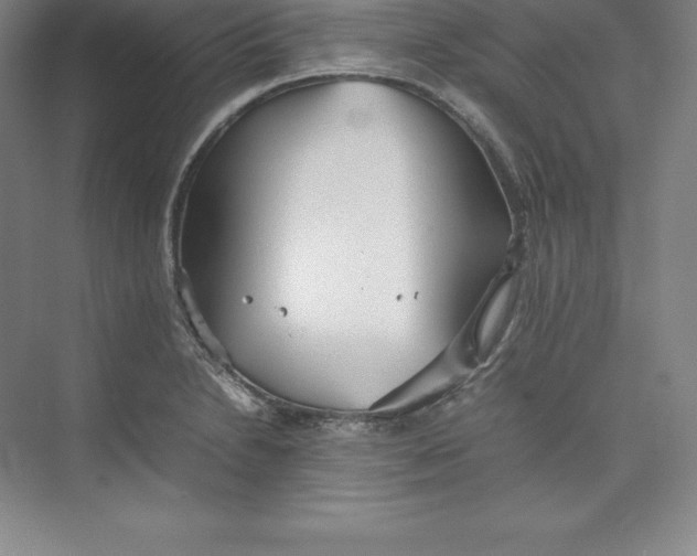 X0000074931230200609221630