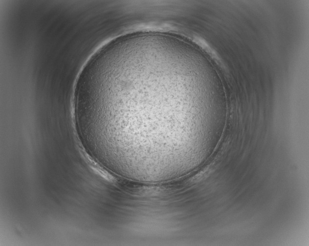 X0000074931232200609221630