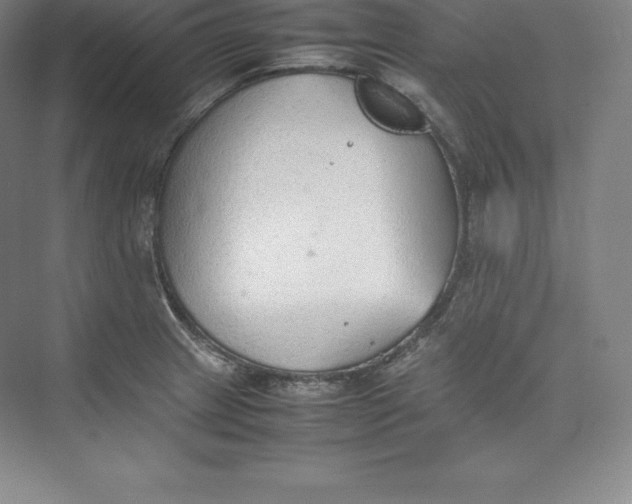 X0000074931233200609221630