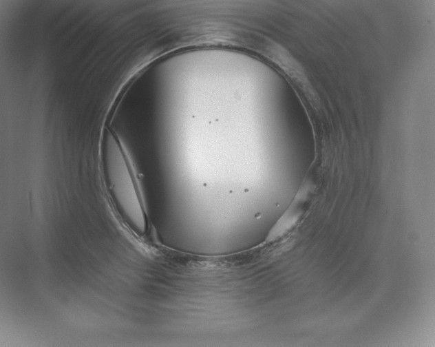 X0000074931234200609221630