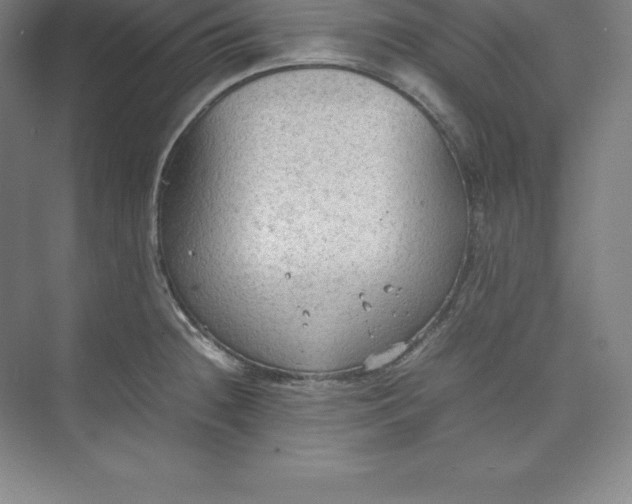 X0000074931236200609221630