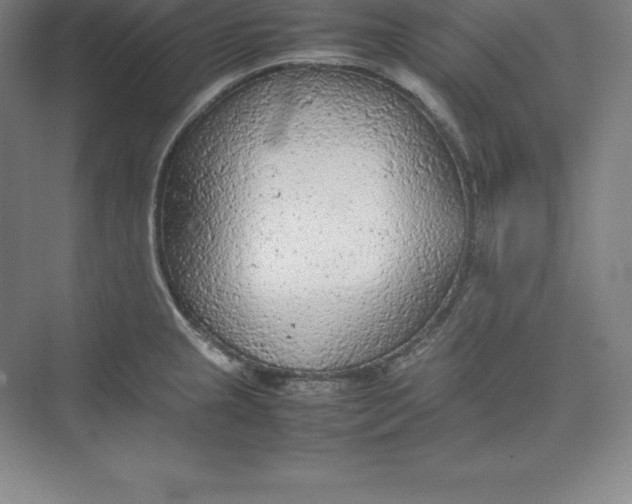 X0000074931237200609221630