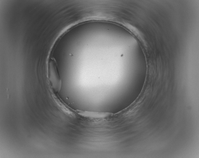 X0000074931238200609221630