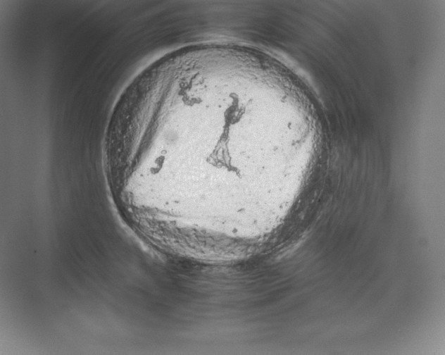 X0000074931239200609221630