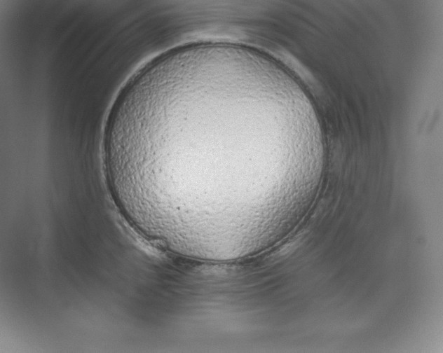 X0000074931240200609221630