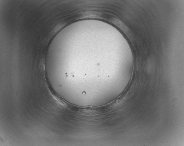 X0000074931241200609221631