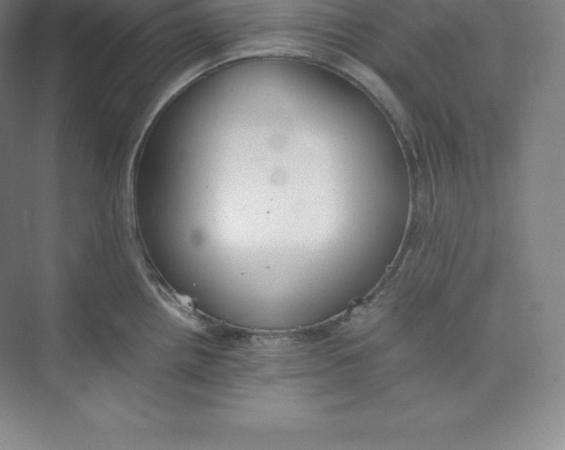 X0000074931242200609221631