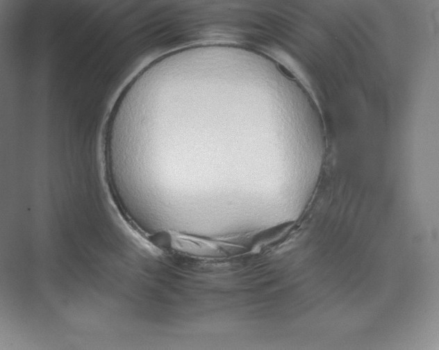 X0000074931243200609221631