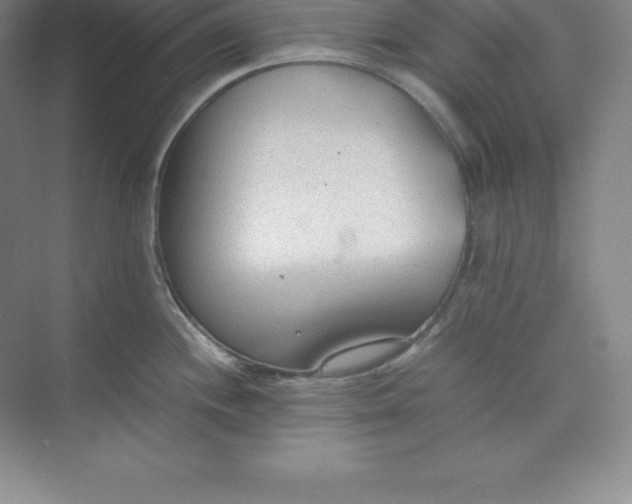 X0000074931244200609221631