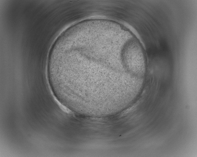 X0000074931245200609221631