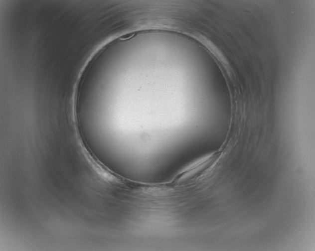 X0000074931246200609221631