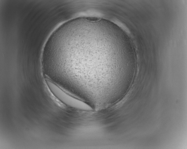 X0000074931248200609221631