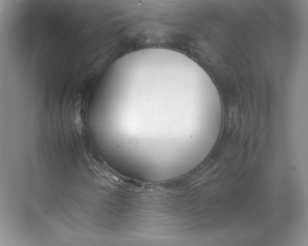 X0000074931250200609221630